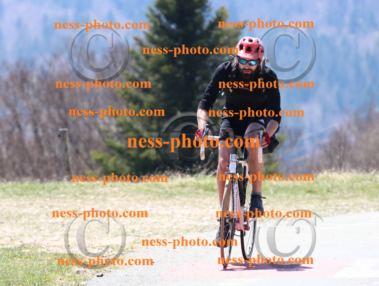 Col du Grand Colombier (203).JPG