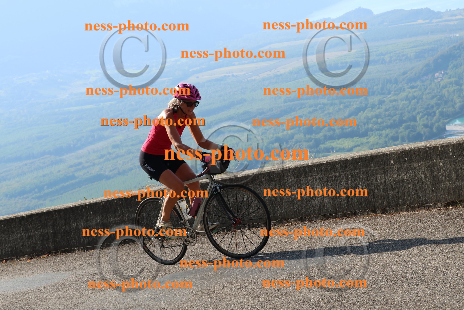Col du Grand Colombier (938).JPG