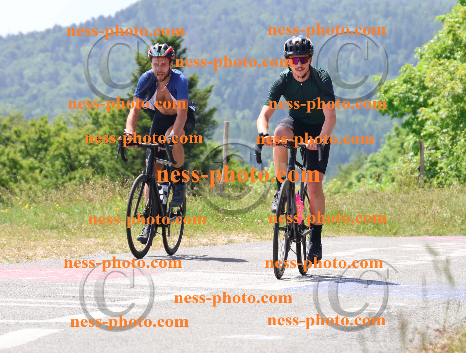 Col du grand Colombier (2297).JPG