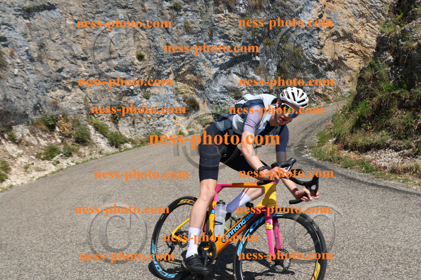 Col du Grand Colombier (437).JPG