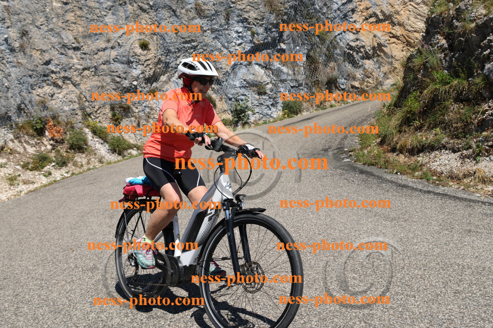 Col du Grand Colombier (370).JPG