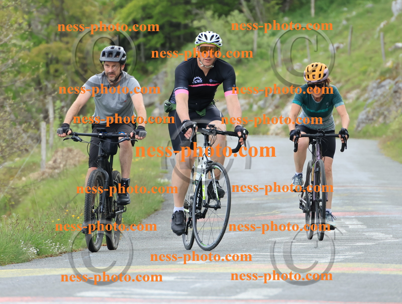 Col du Grand Colombier (585).JPG