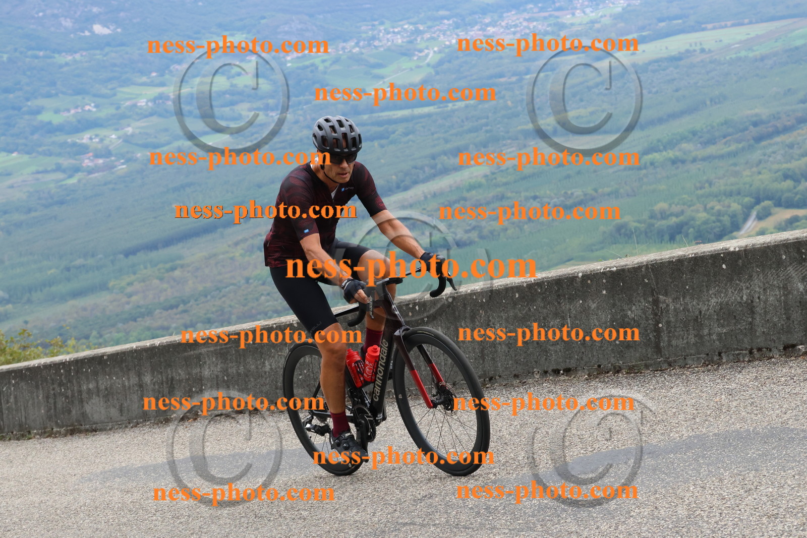 Col du Grand Colombier (1559).JPG