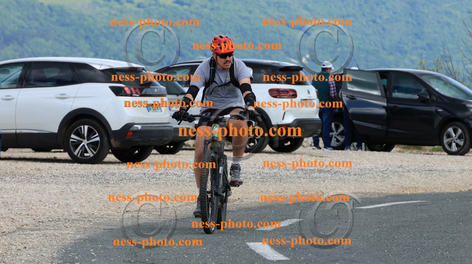 Col du grand Colombier (794).JPG