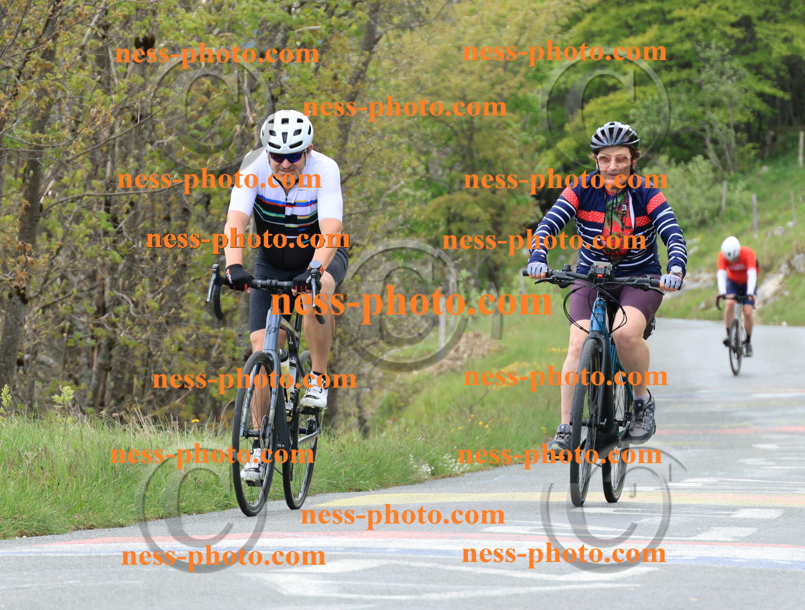 Col du Grand Colombier (568).JPG