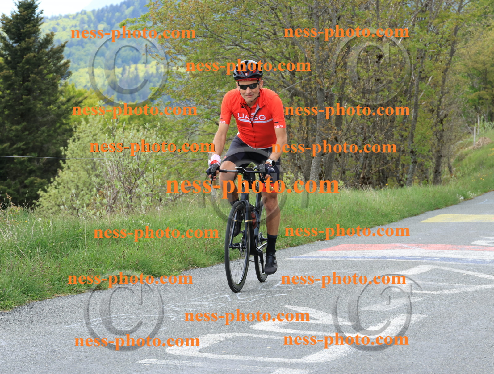 Col du Grand Colombier (620).JPG