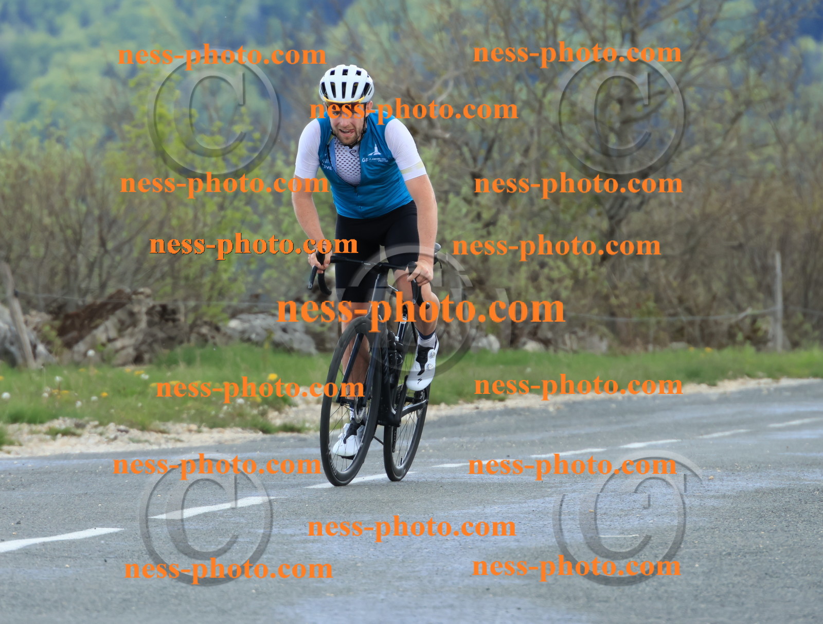 Col du grand Colombier (605).JPG