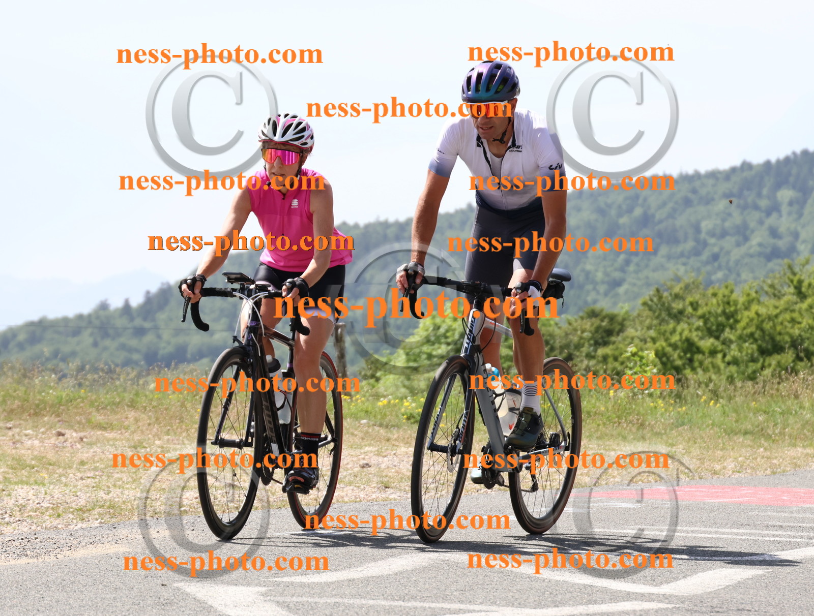 Col du grand Colombier (1379).JPG