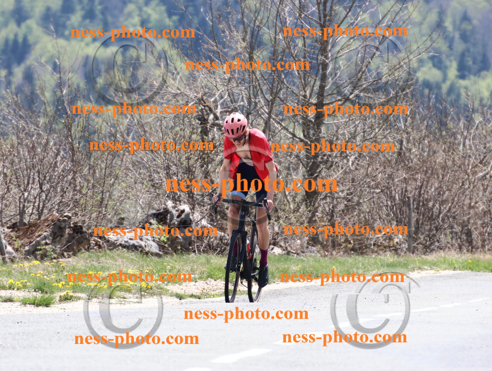 Col du Grand Colombier (695).JPG