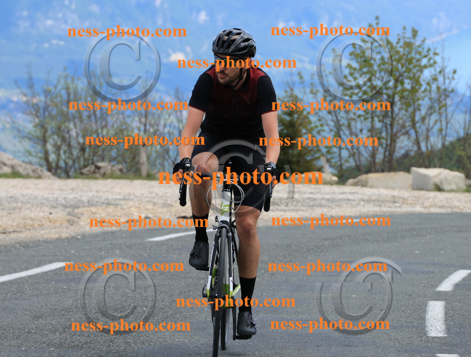 Col du grand Colombier (706).JPG