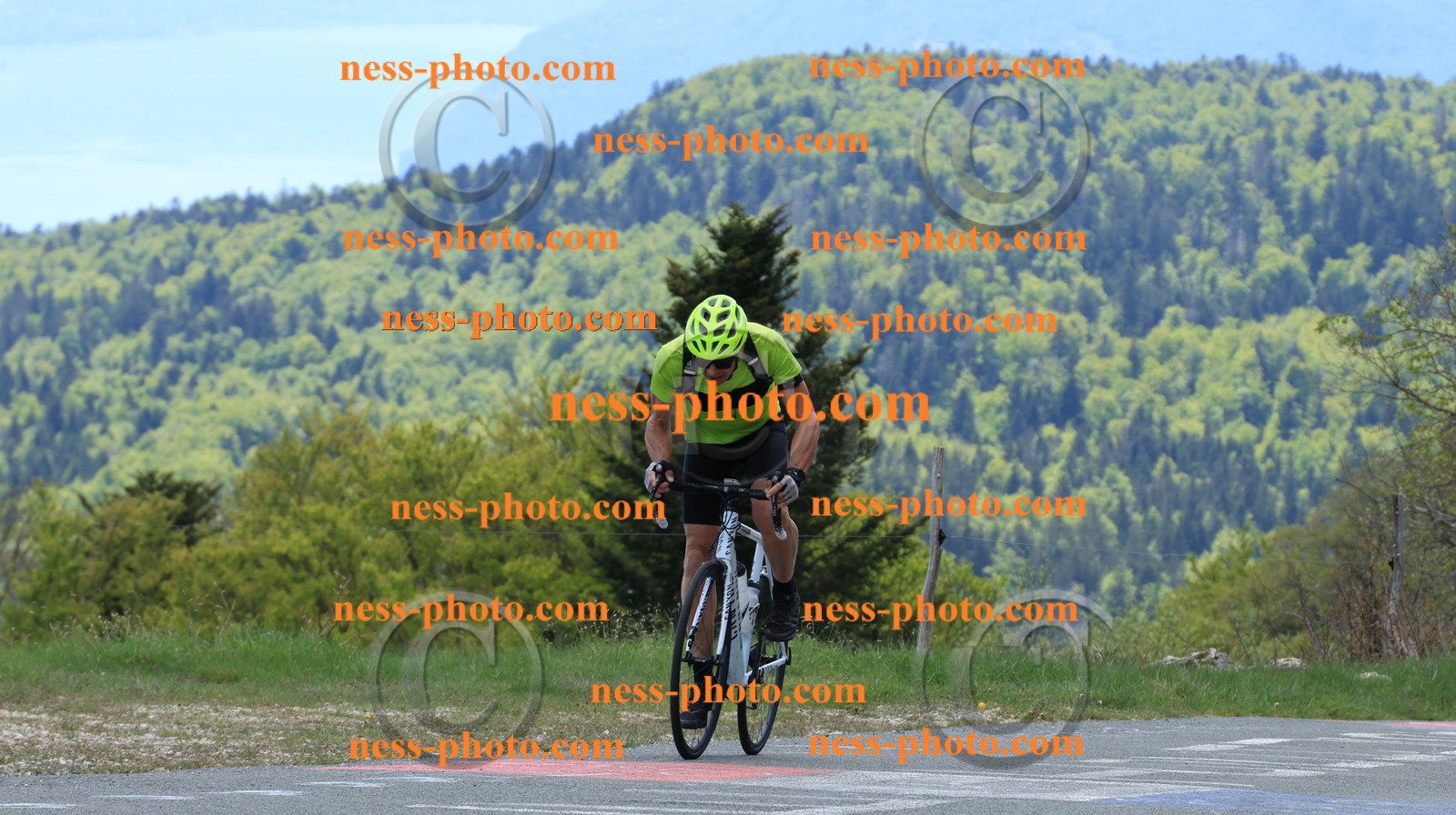 Col du grand Colombier (271).JPG