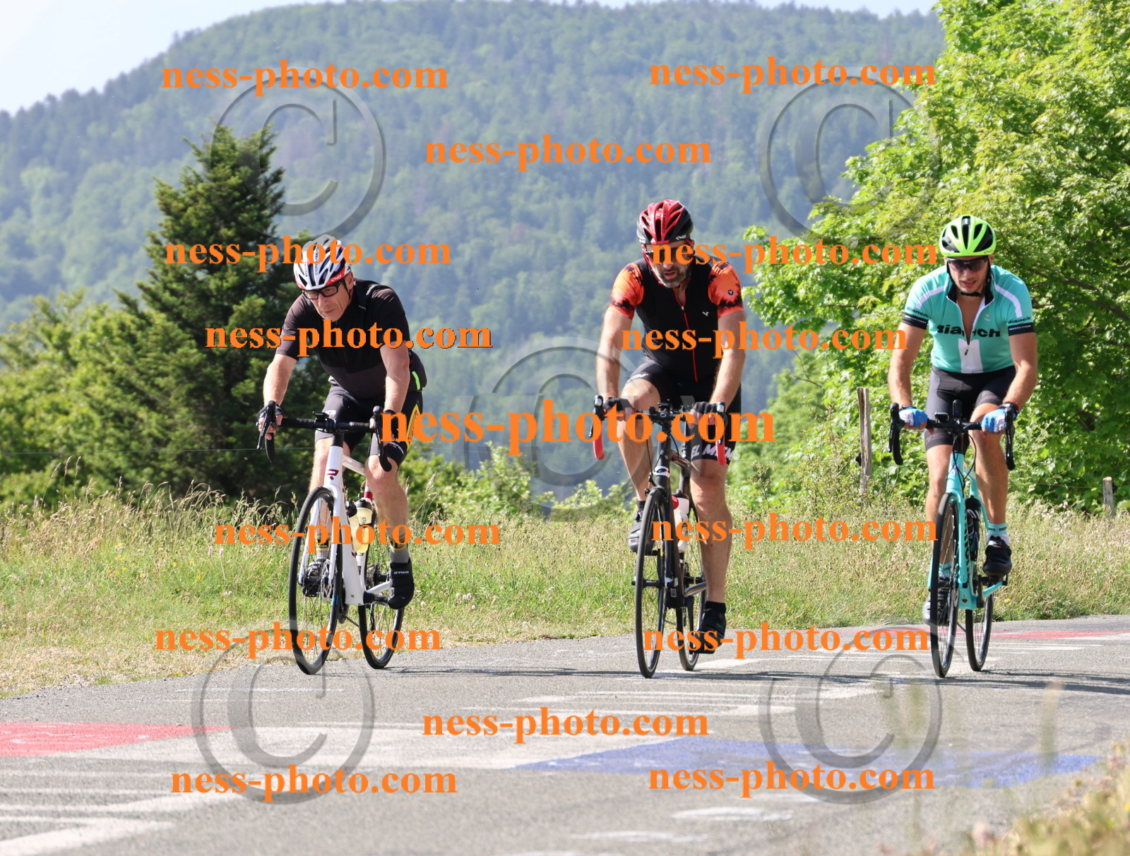 Col du grand Colombier (422).JPG