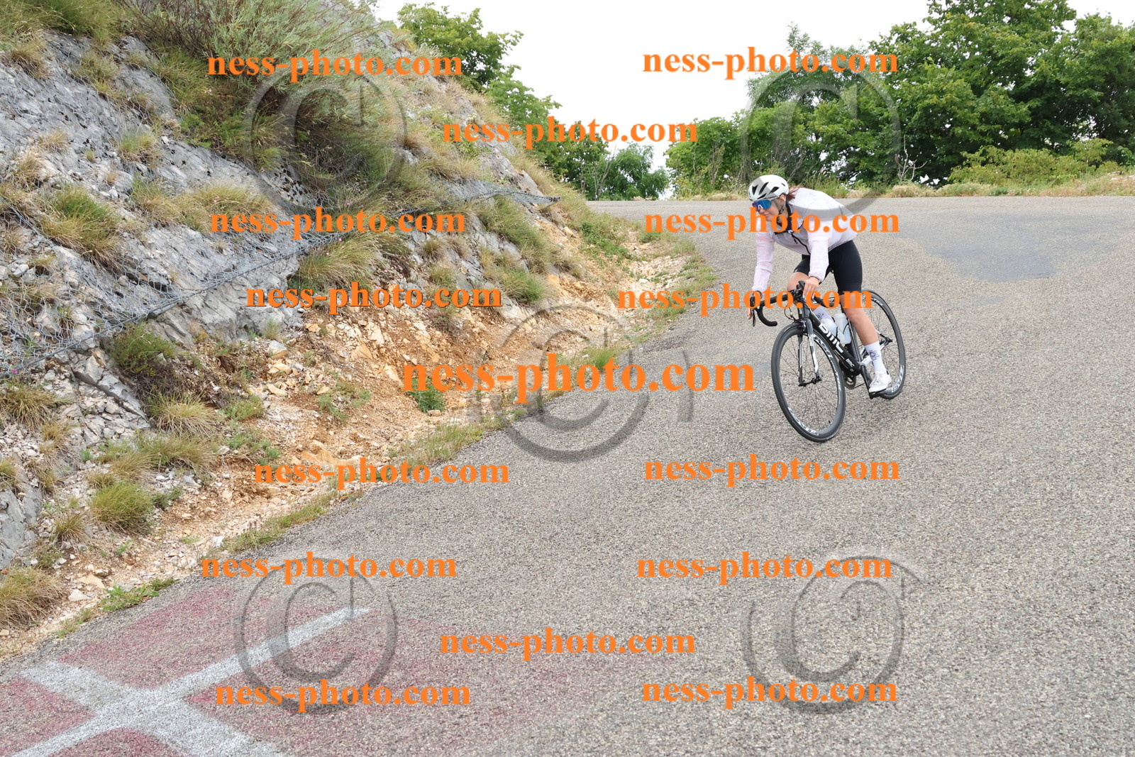 Col du Grand Colombier  (778).JPG