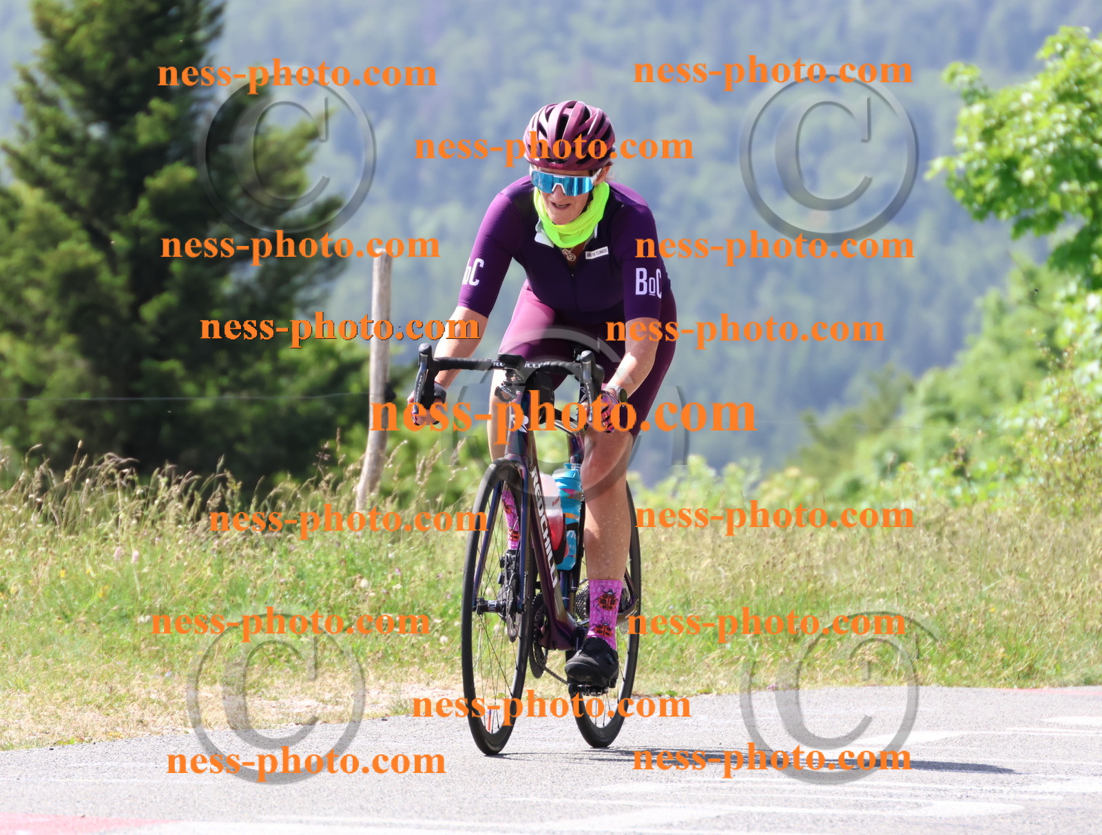 Col du grand Colombier (1317).JPG