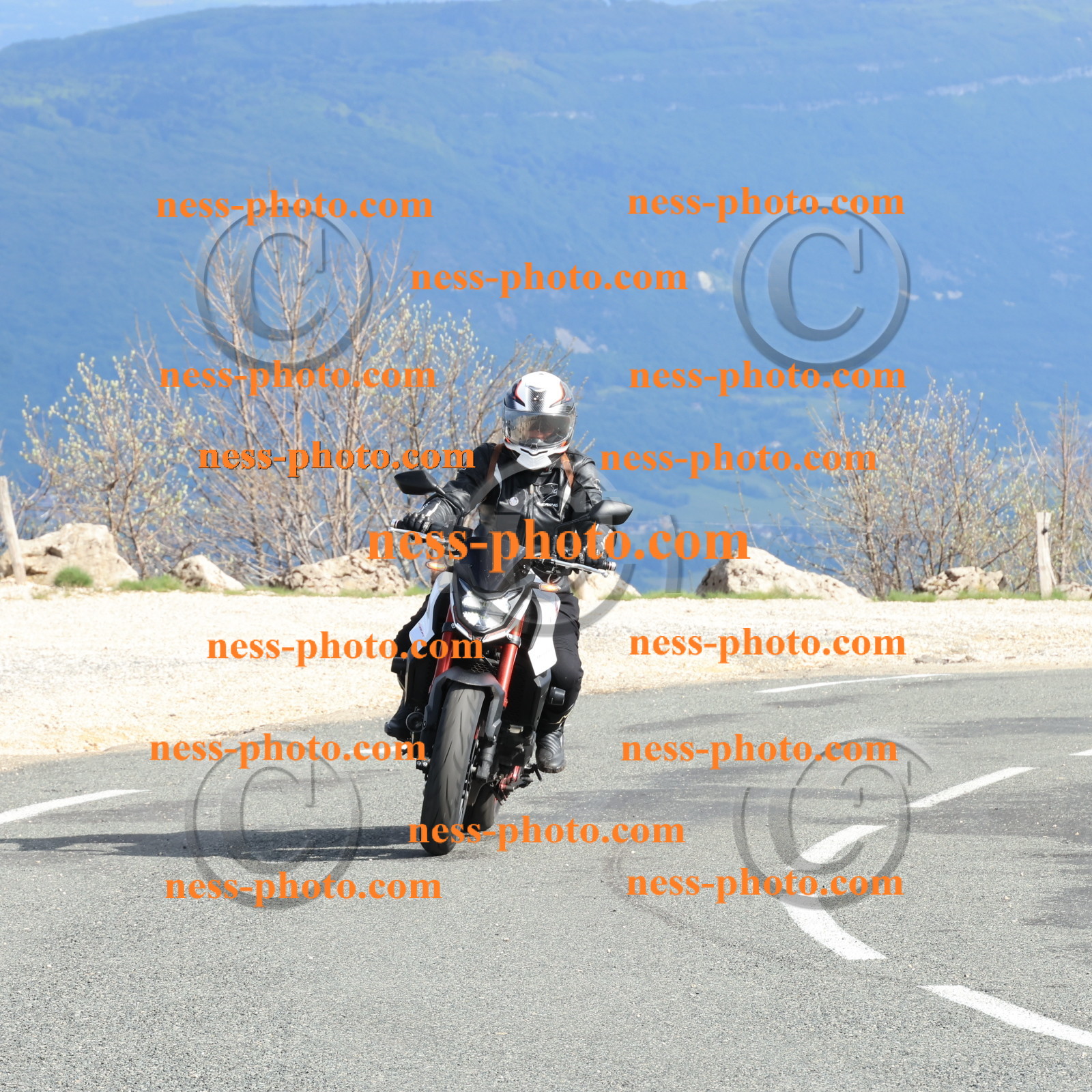 Col du Colombier (115).JPG