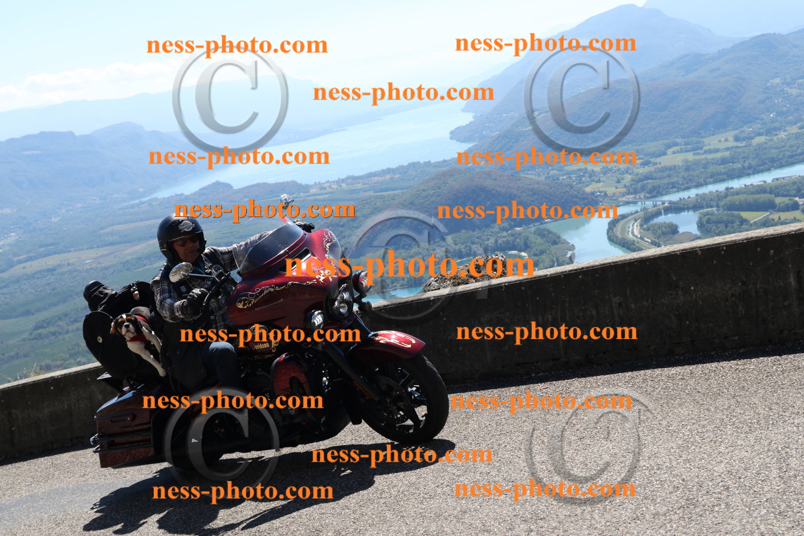 Col du Grand Colombier (261).JPG