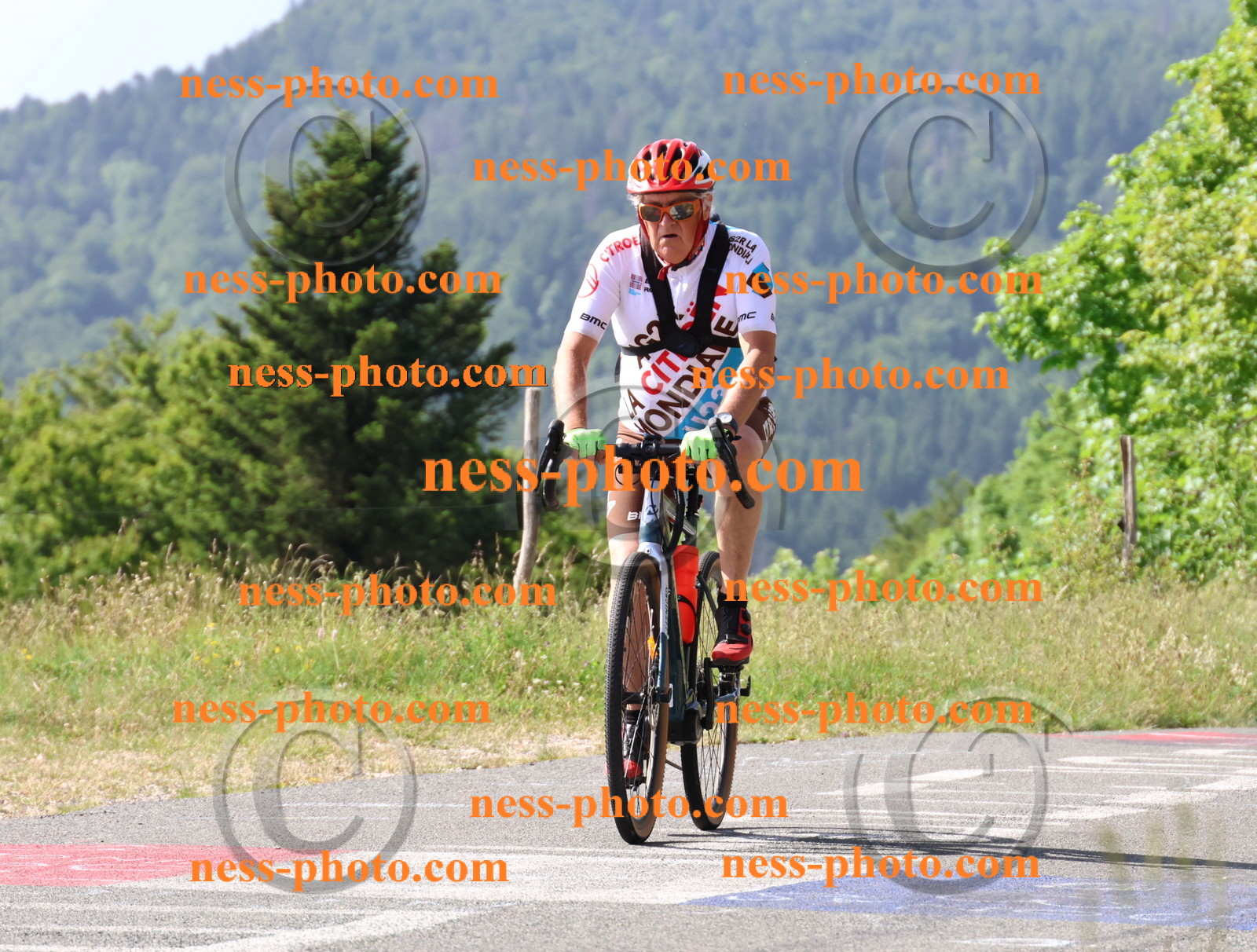 Col du grand Colombier (313).JPG