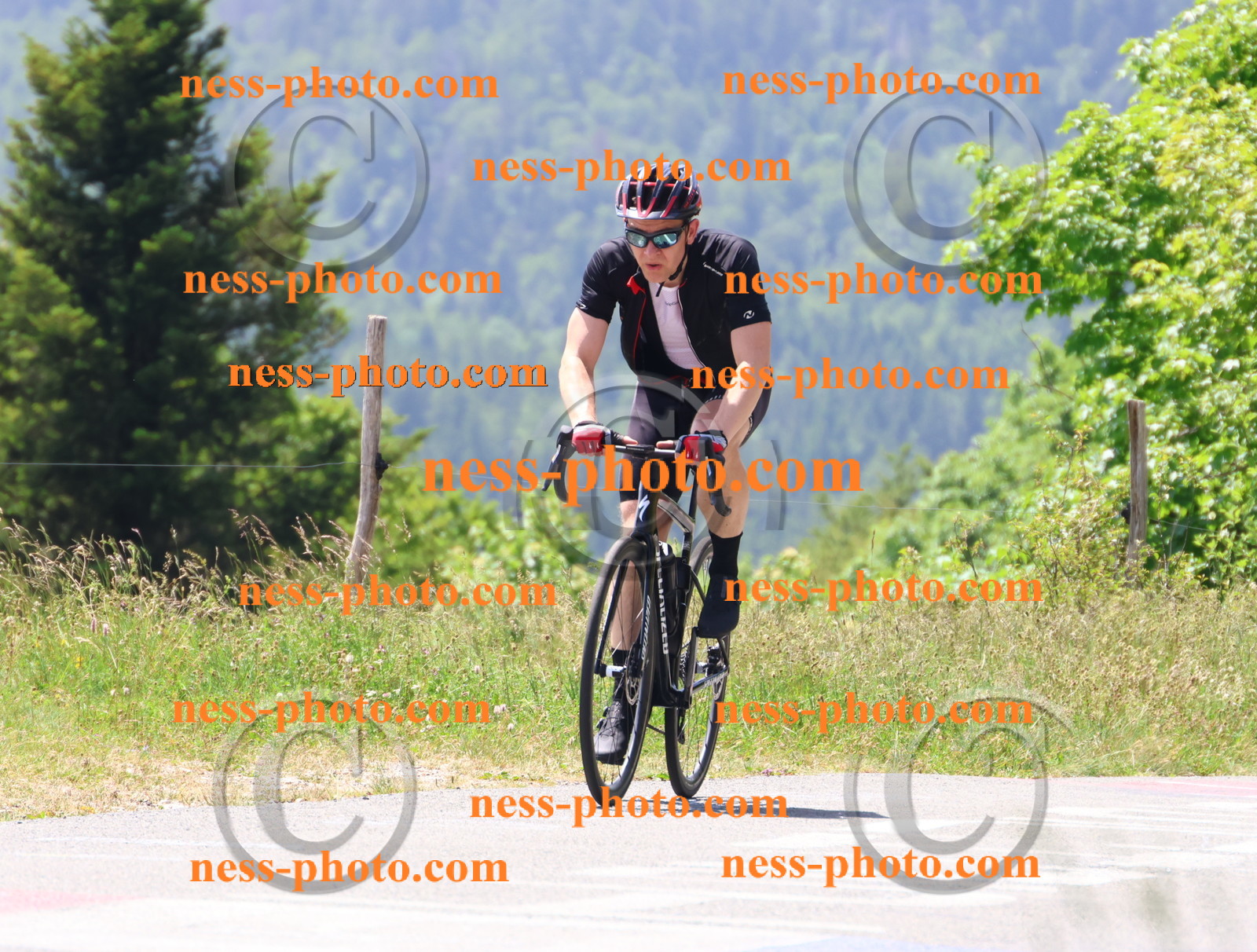 Col du grand Colombier (2607).JPG