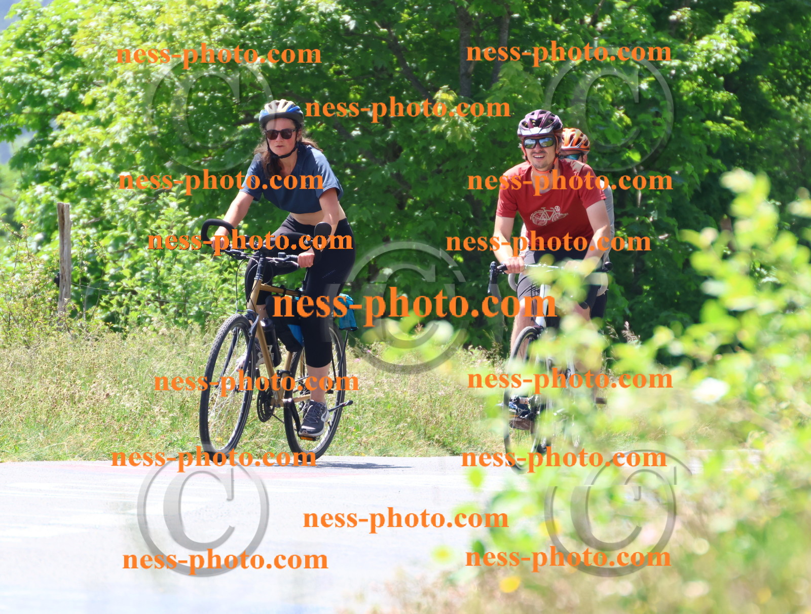 Col du grand Colombier (2616).JPG