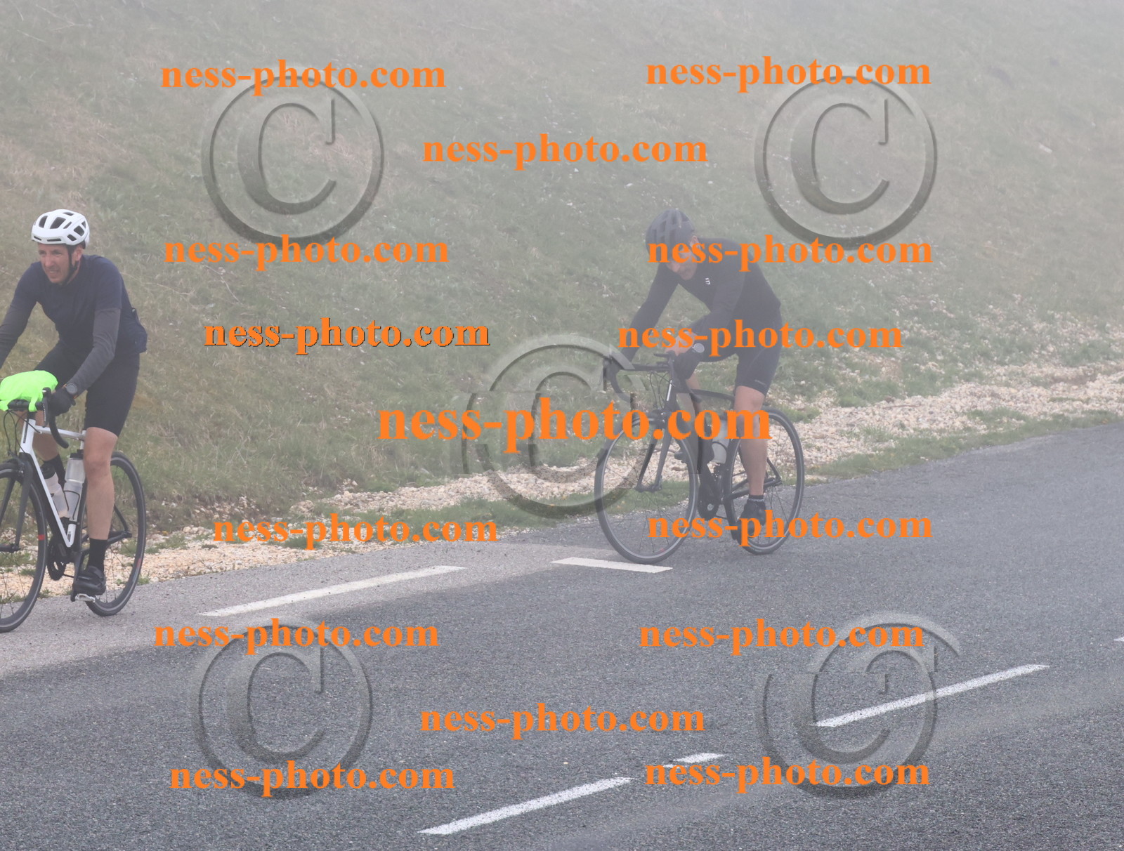 Col du Grand Colombier (368).JPG