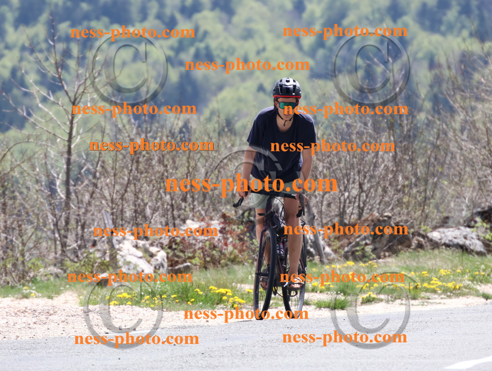 Col du Grand Colombier (703).JPG