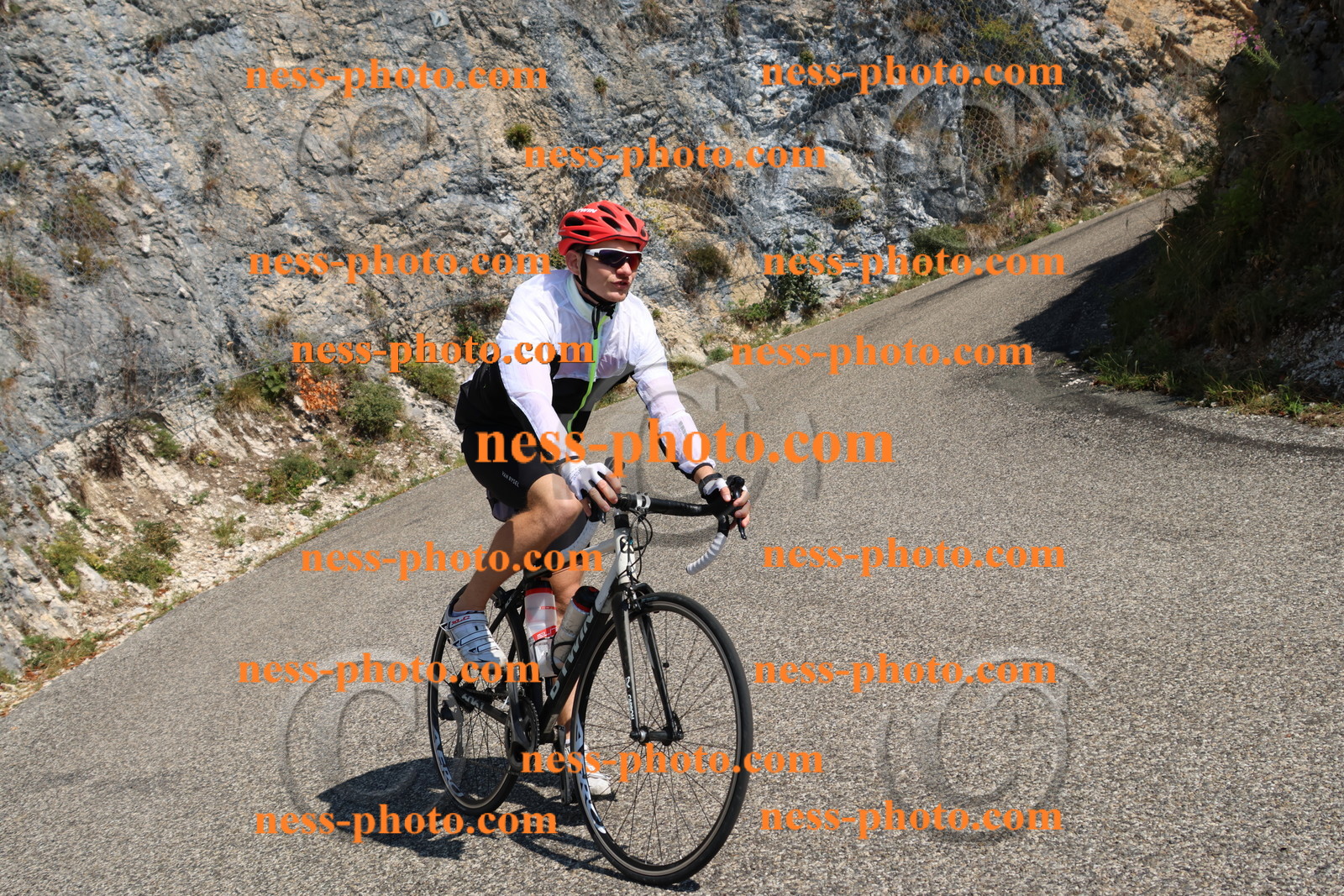 Col du Grand Colombier (313).JPG