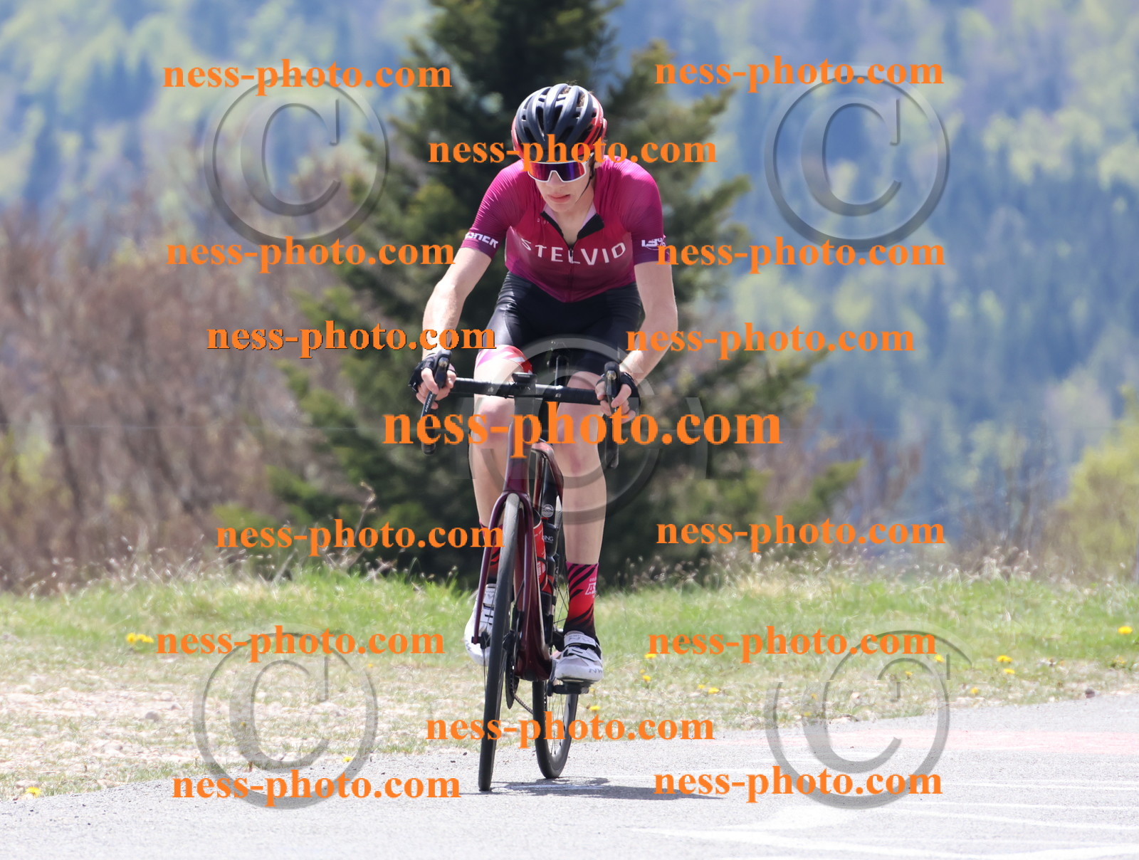 Col du Grand Colombier (267).JPG