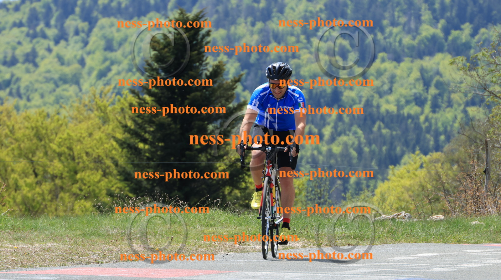 Col du grand Colombier (155).JPG