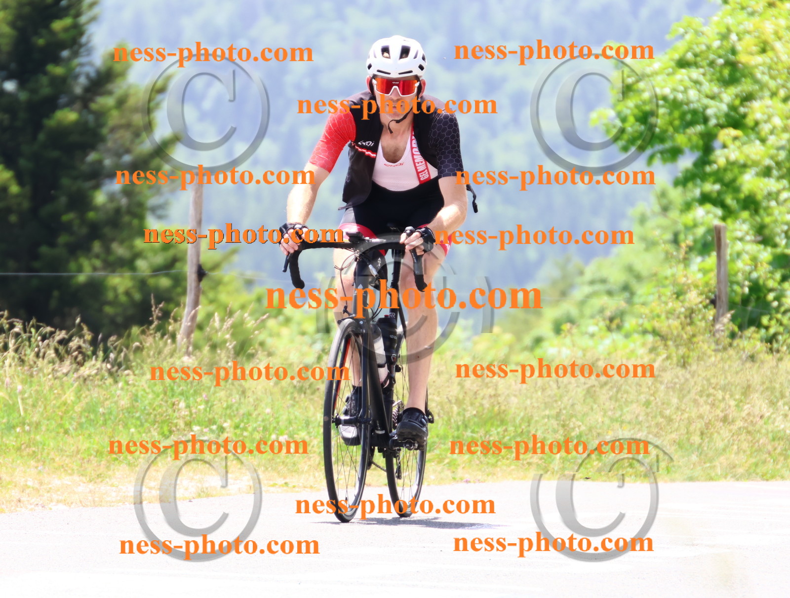 Col du grand Colombier (2811).JPG