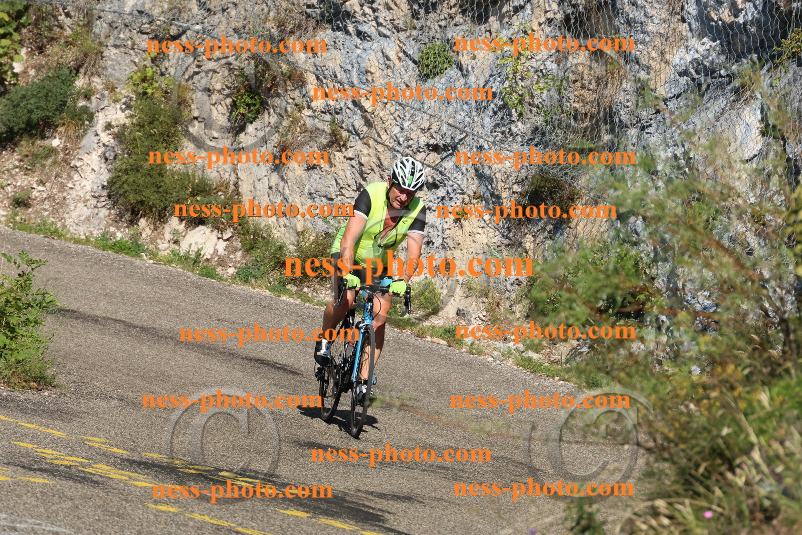 Col du Grand Colombier (304).JPG