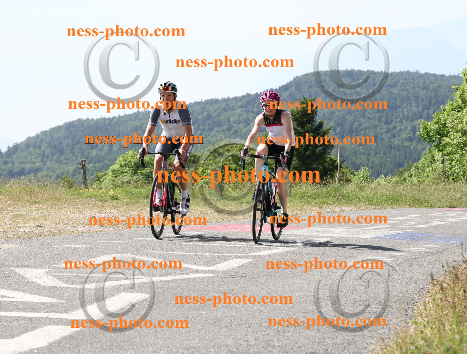 Col du grand Colombier (888).JPG