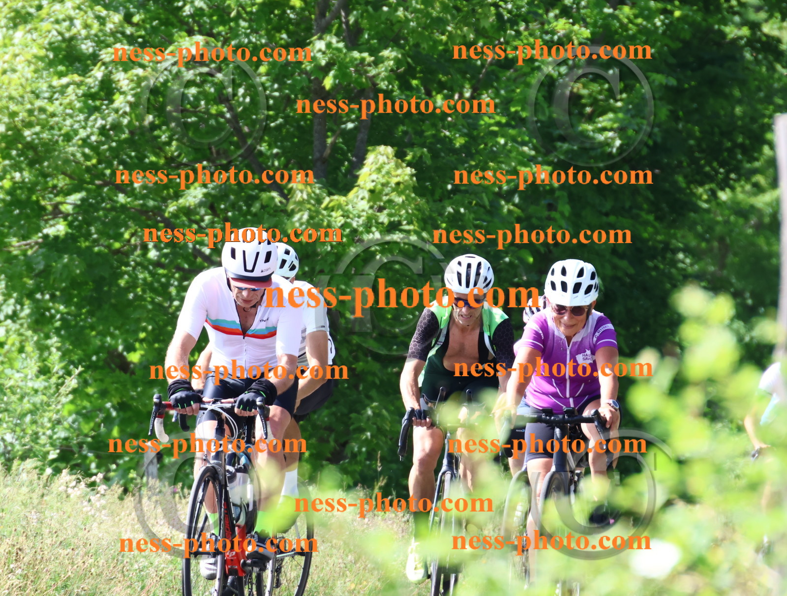 Col du grand Colombier (605).JPG