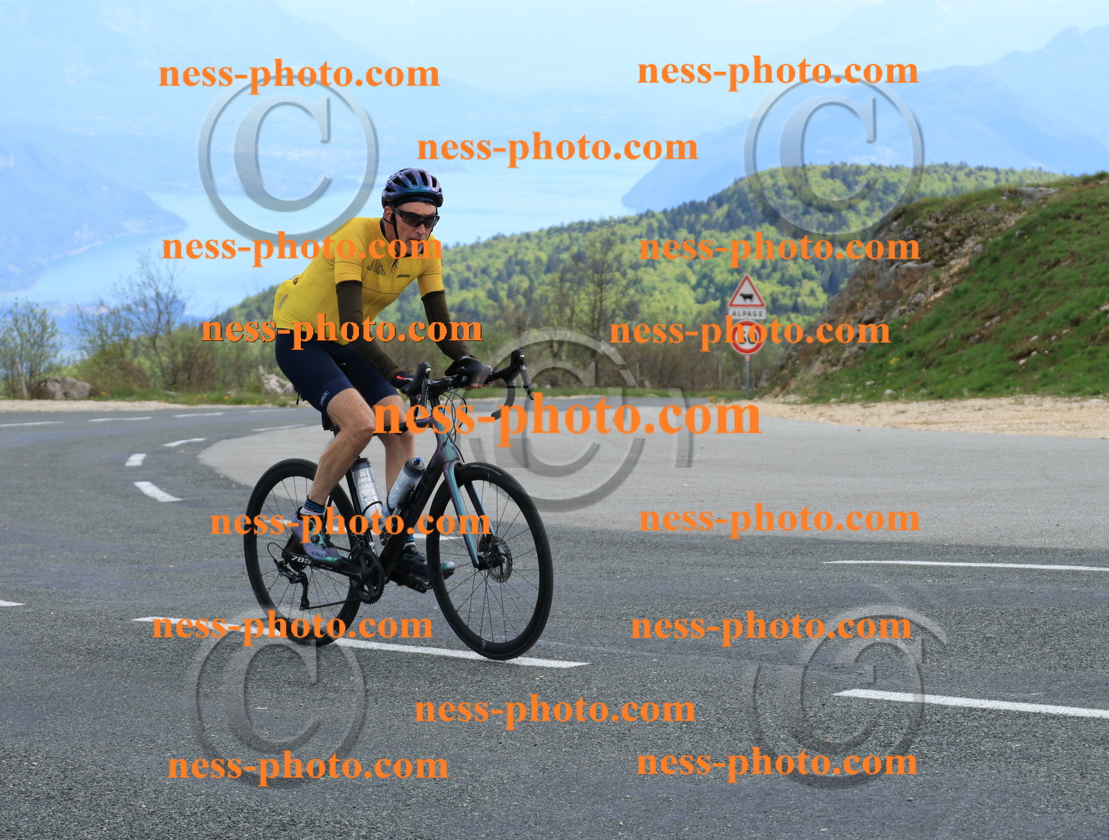 Col du grand Colombier (693).JPG