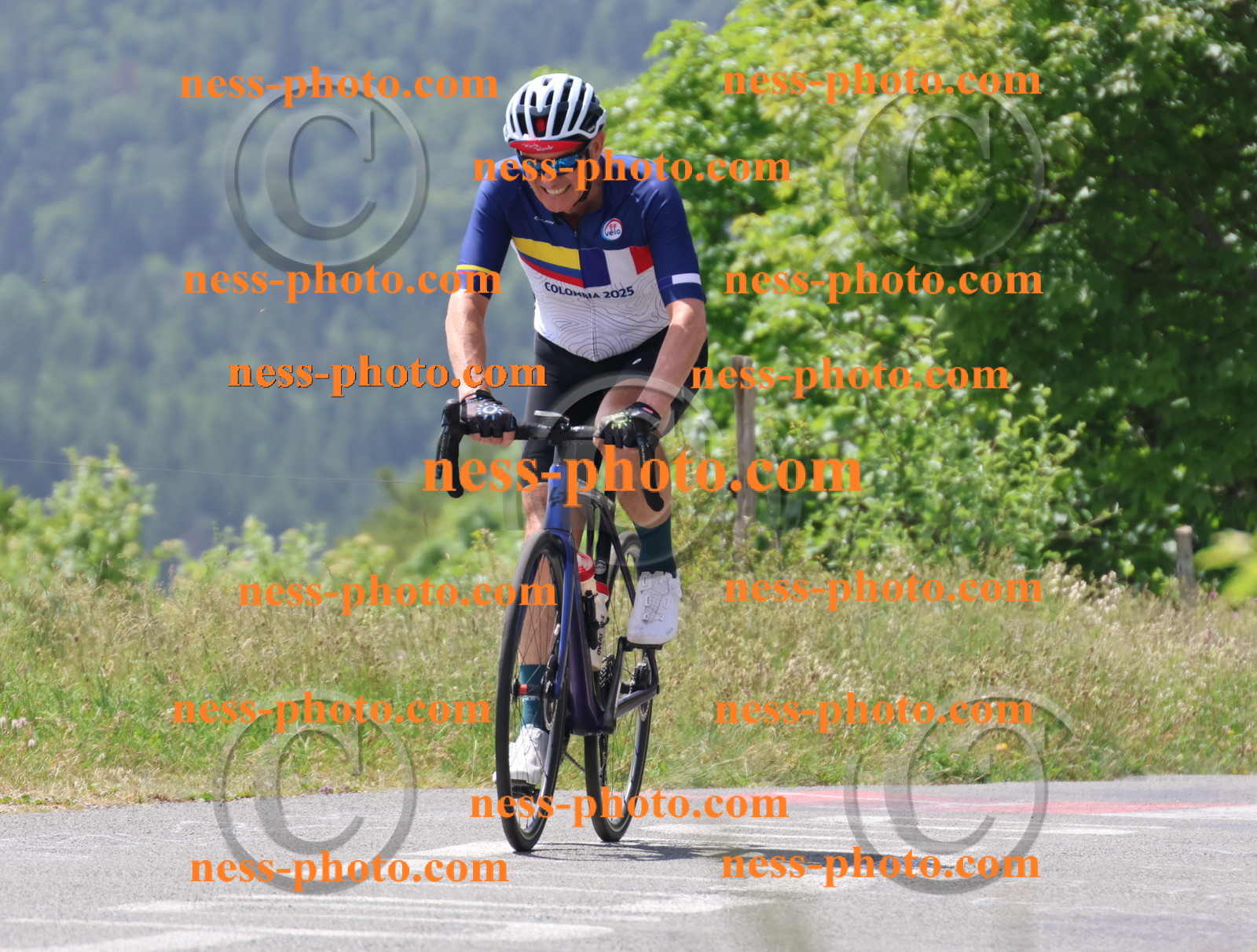 Col du grand Colombier (2169).JPG