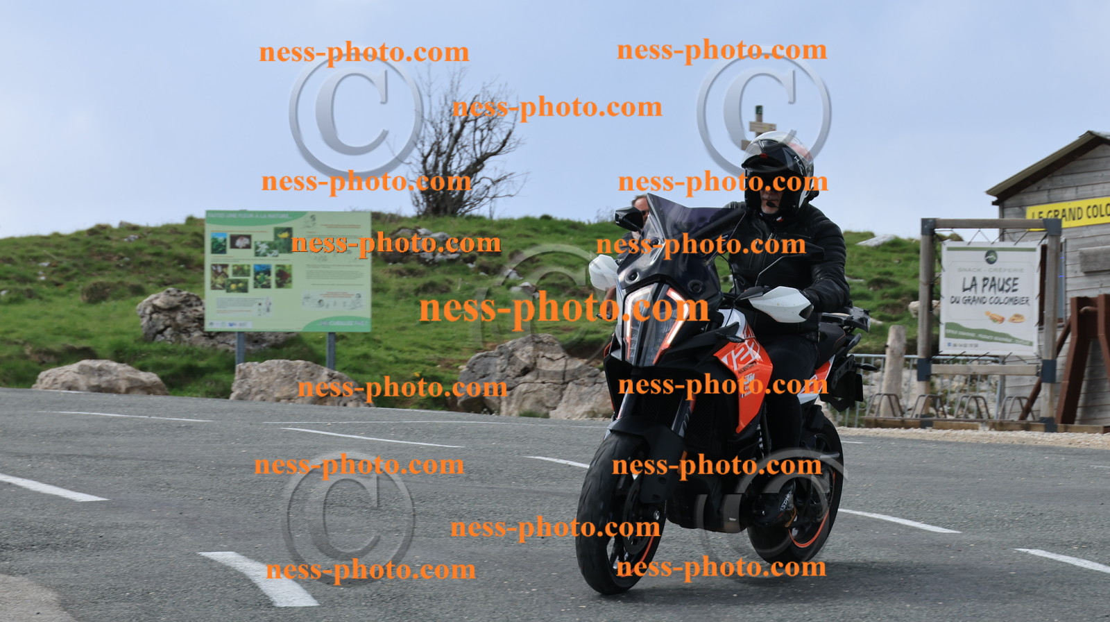 Col du Grand Colombier (262).JPG