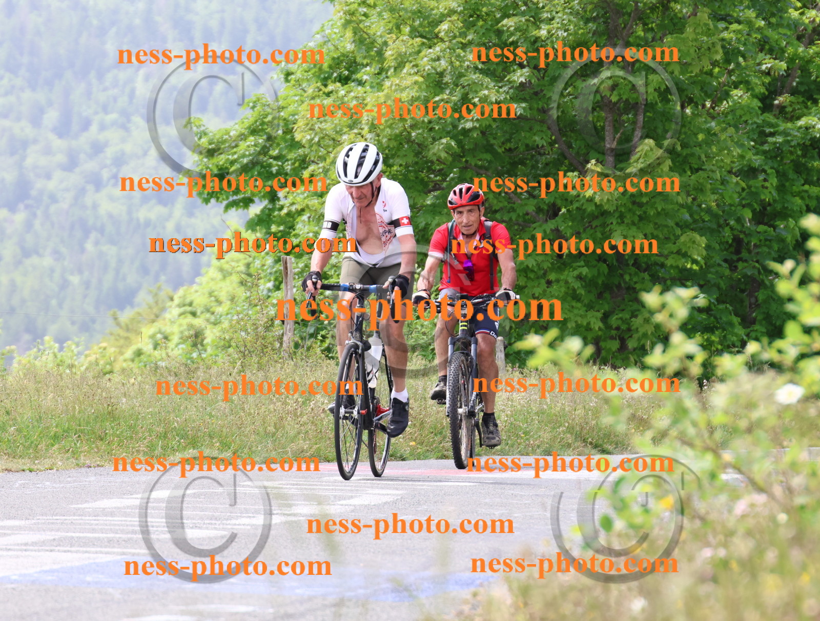 Col du grand Colombier (1975).JPG