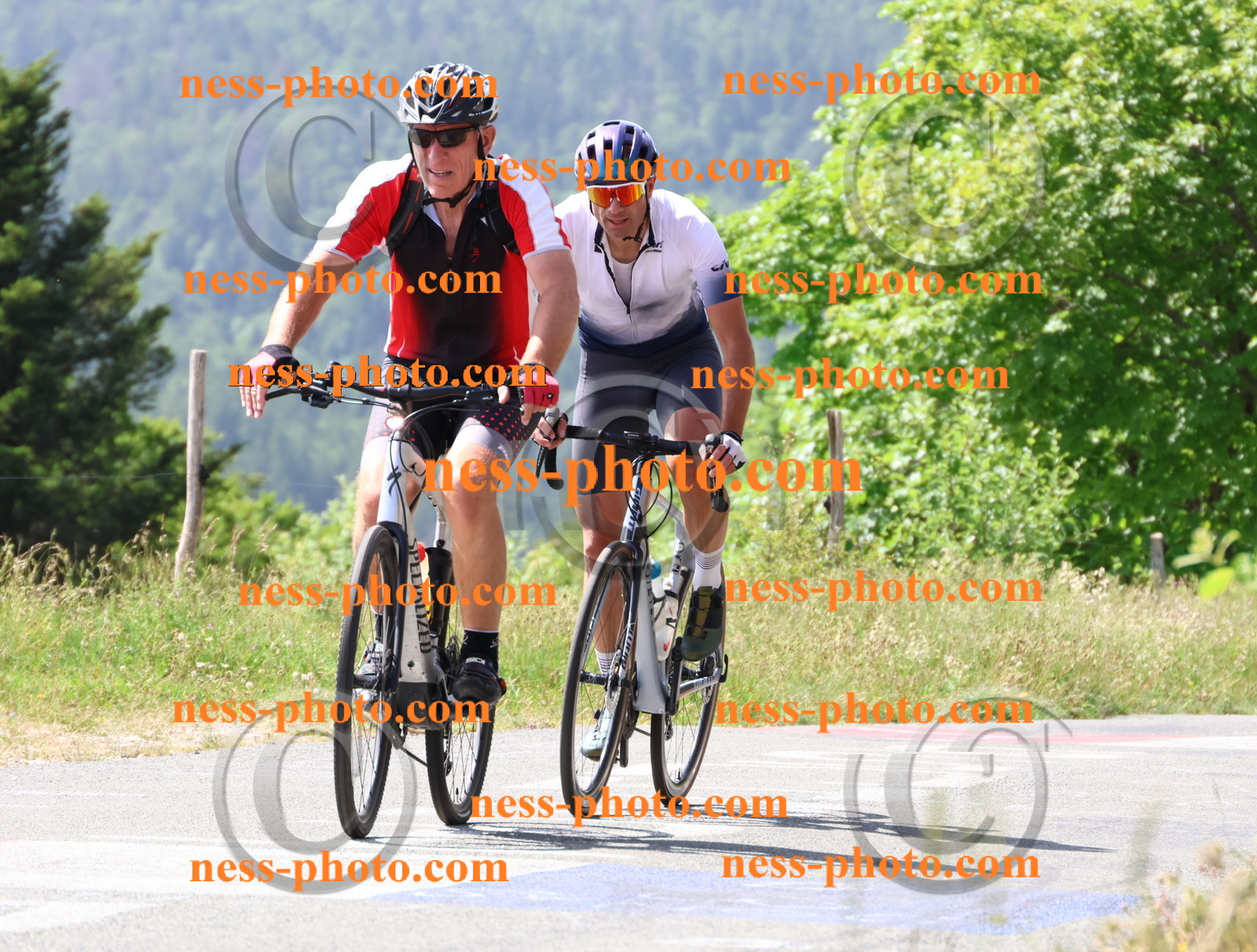 Col du grand Colombier (1352).JPG