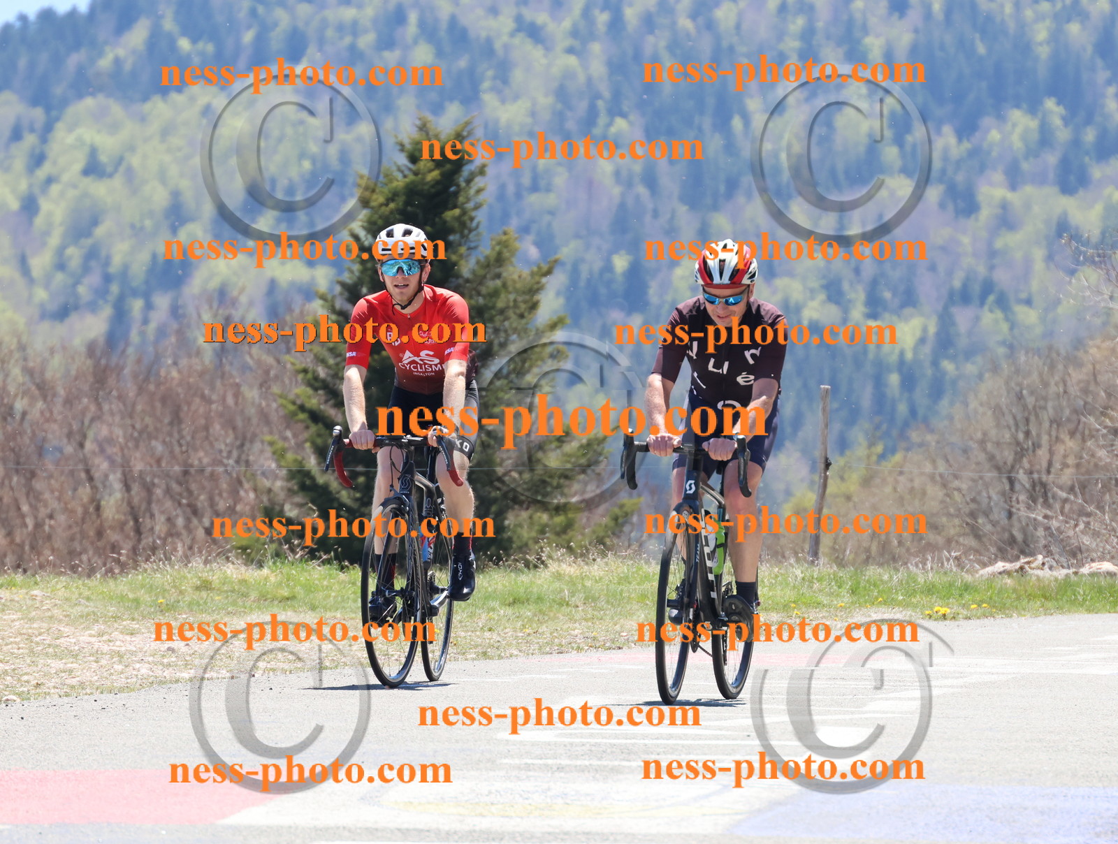 Col du Grand Colombier (599).JPG