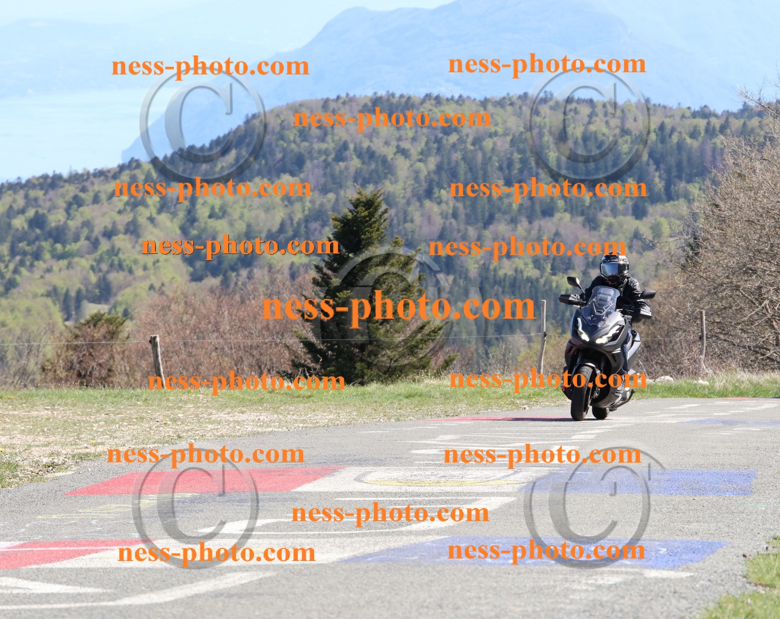 Col du Grand Colombier (332).JPG