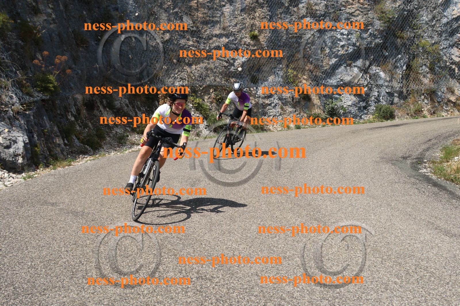 Col du Grand Colombier (3651).JPG