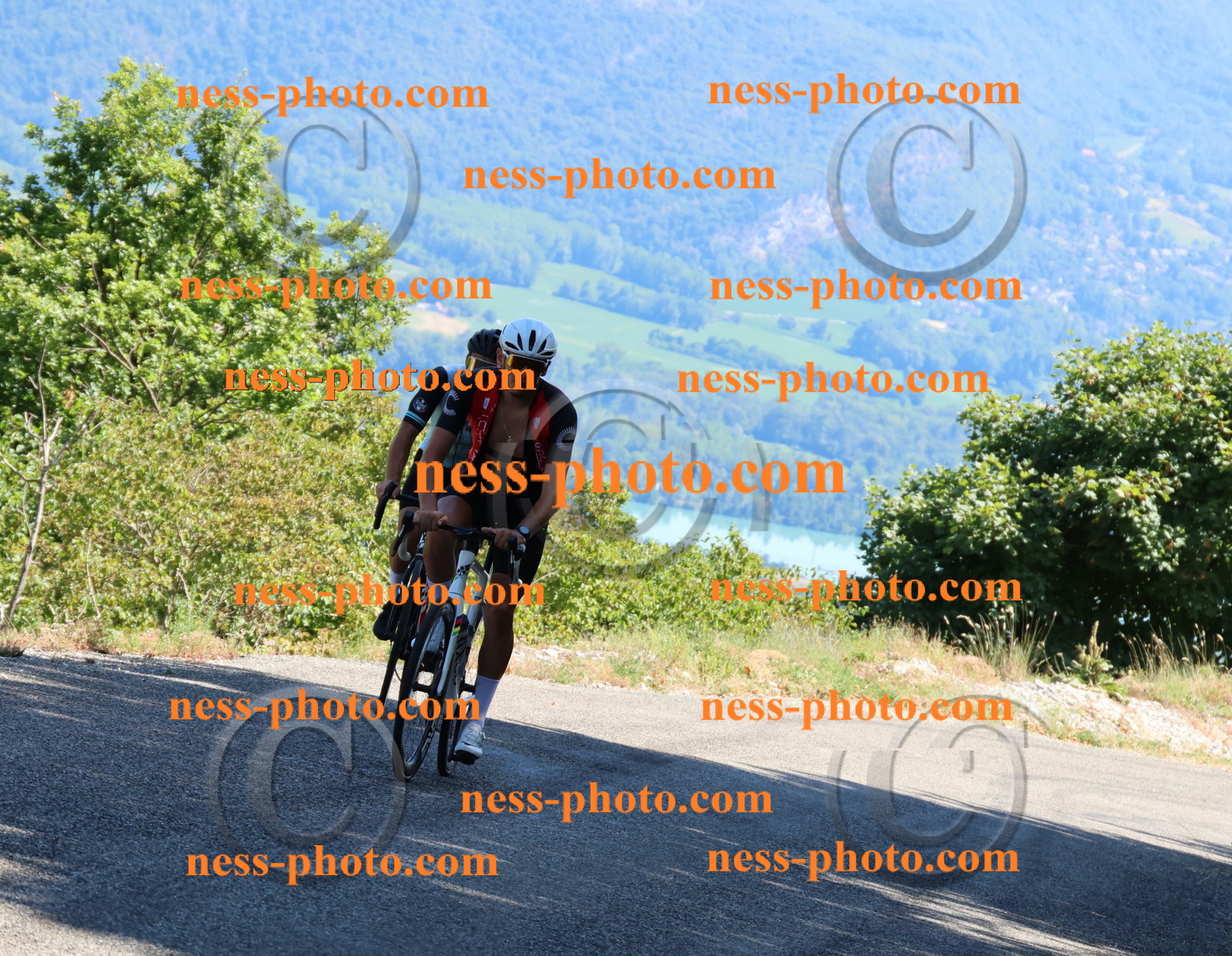 Col du Grand Colombier (2870).JPG