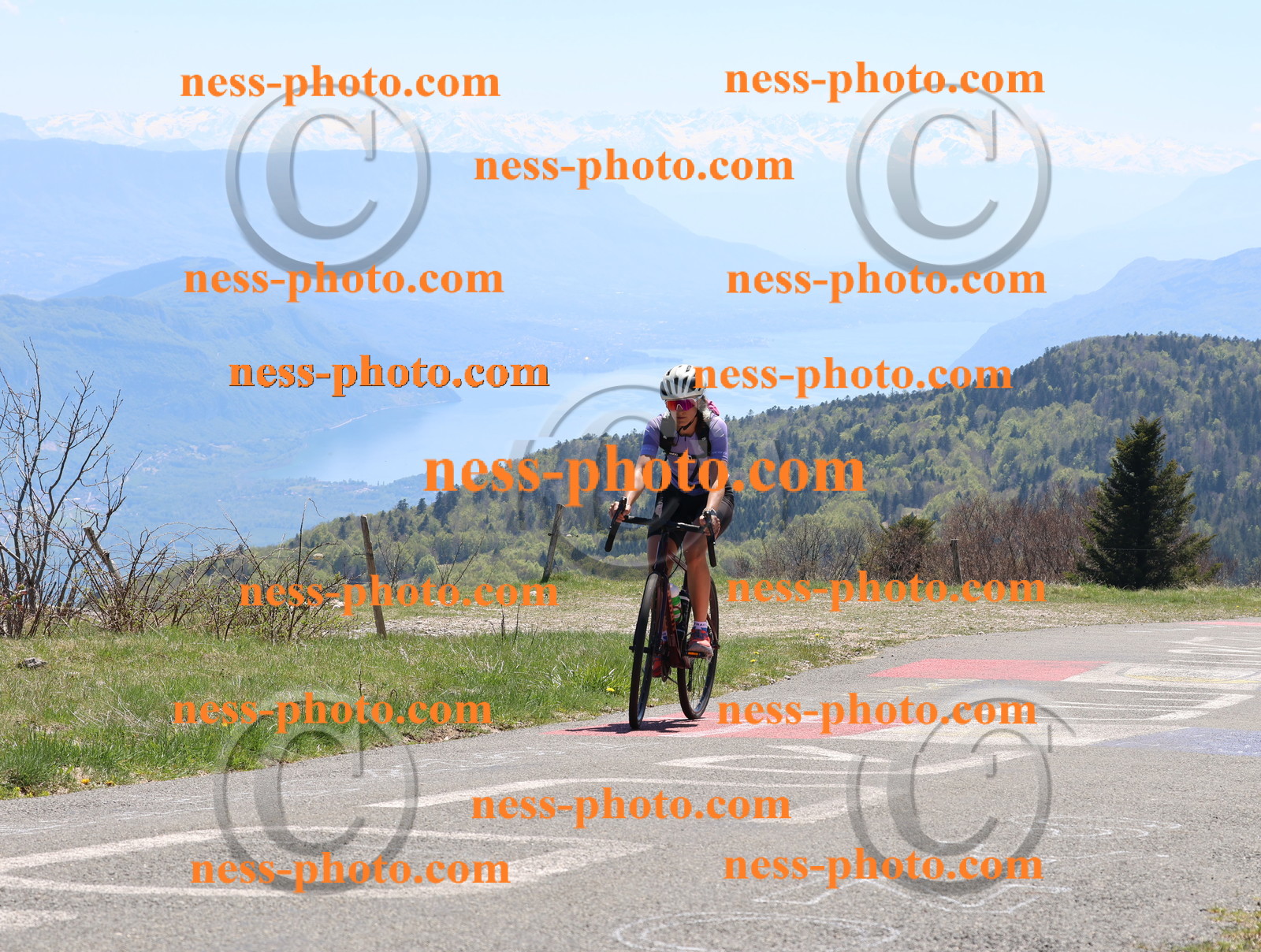 Col du Grand Colombier (577).JPG