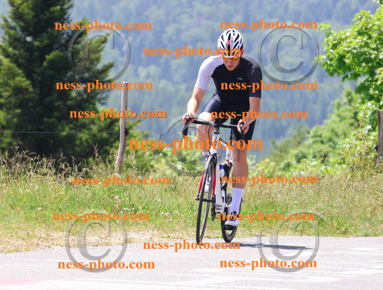 Col du grand Colombier (2404).JPG