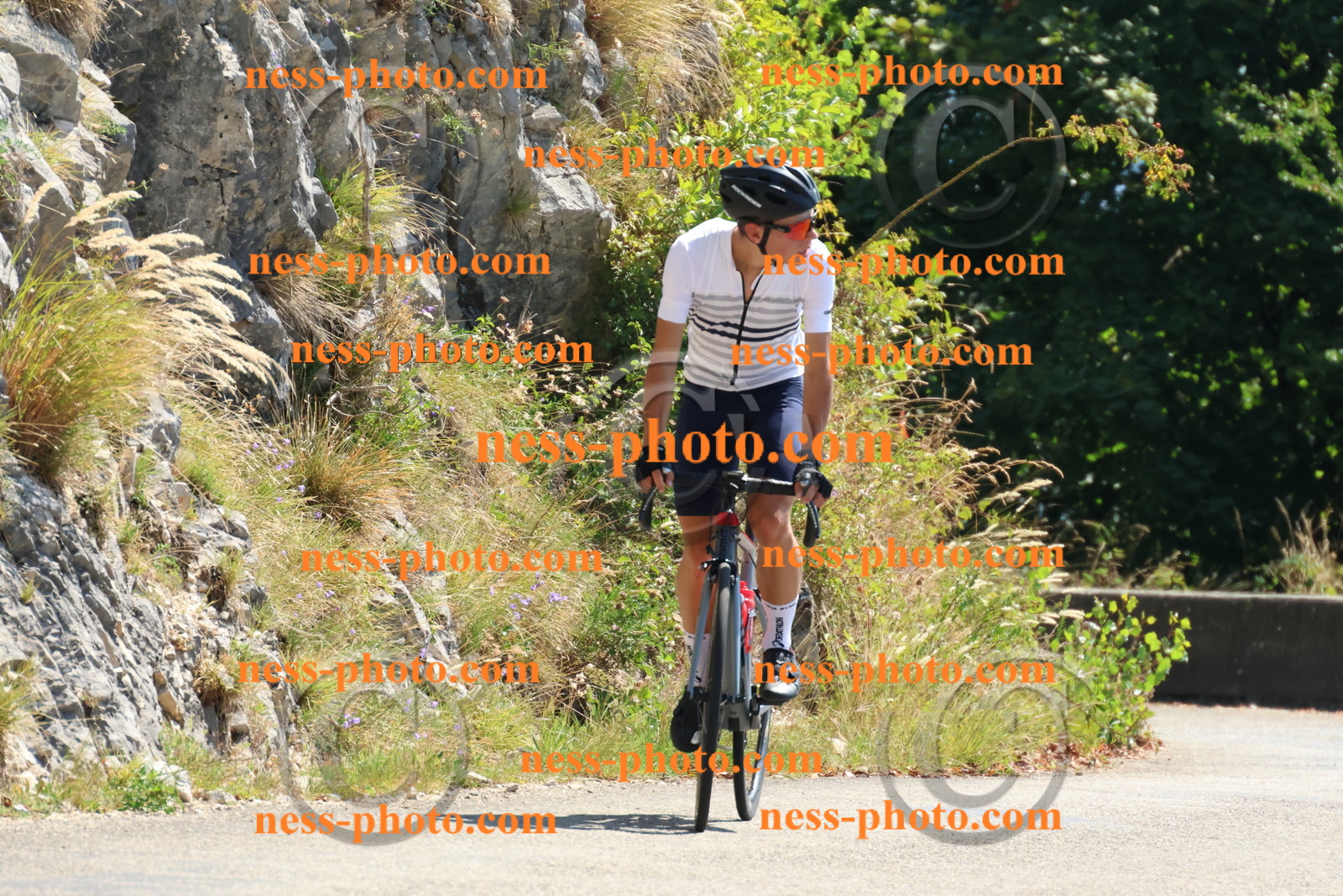 Col du Grand Colombier (320).JPG