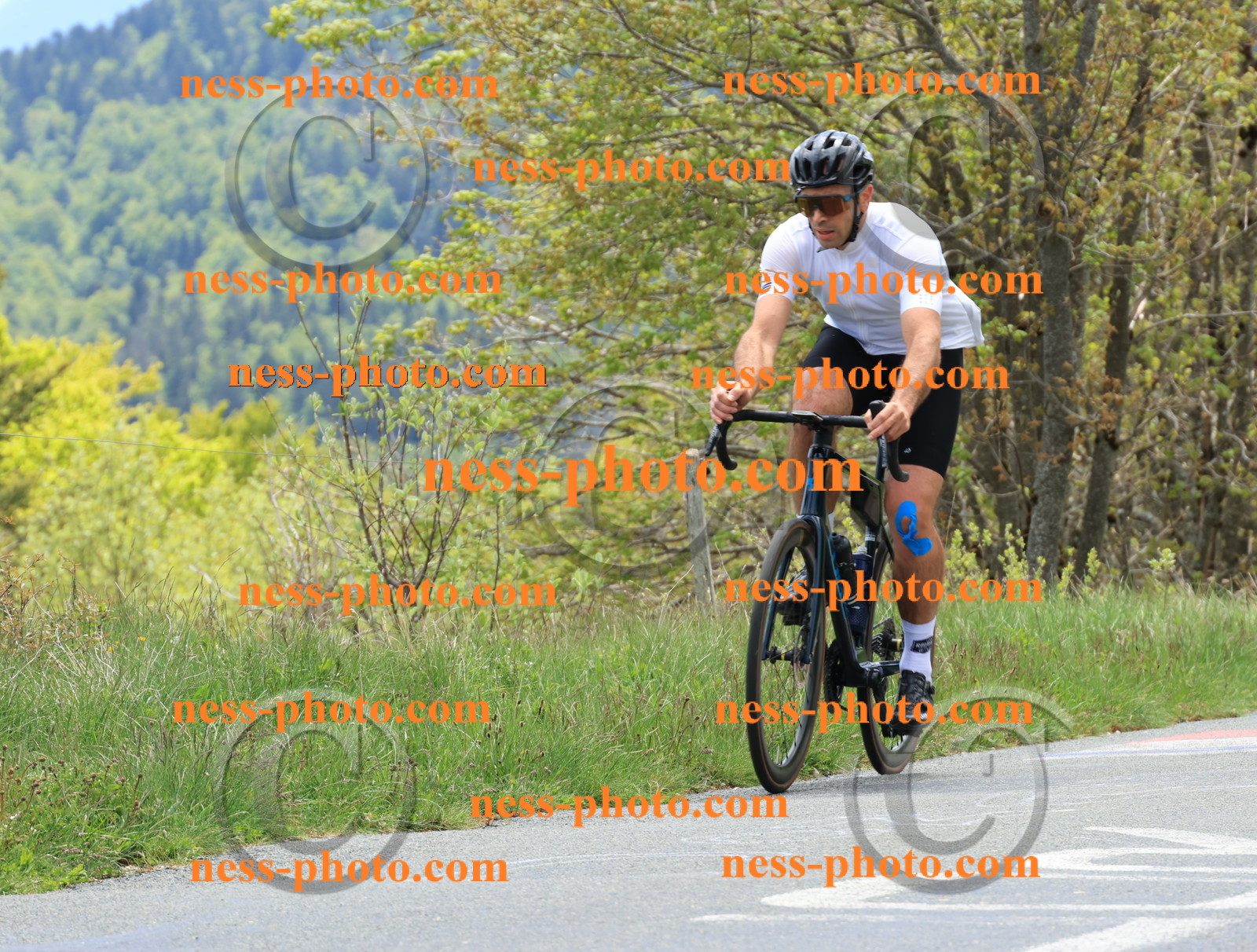 Col du Grand Colombier (507).JPG