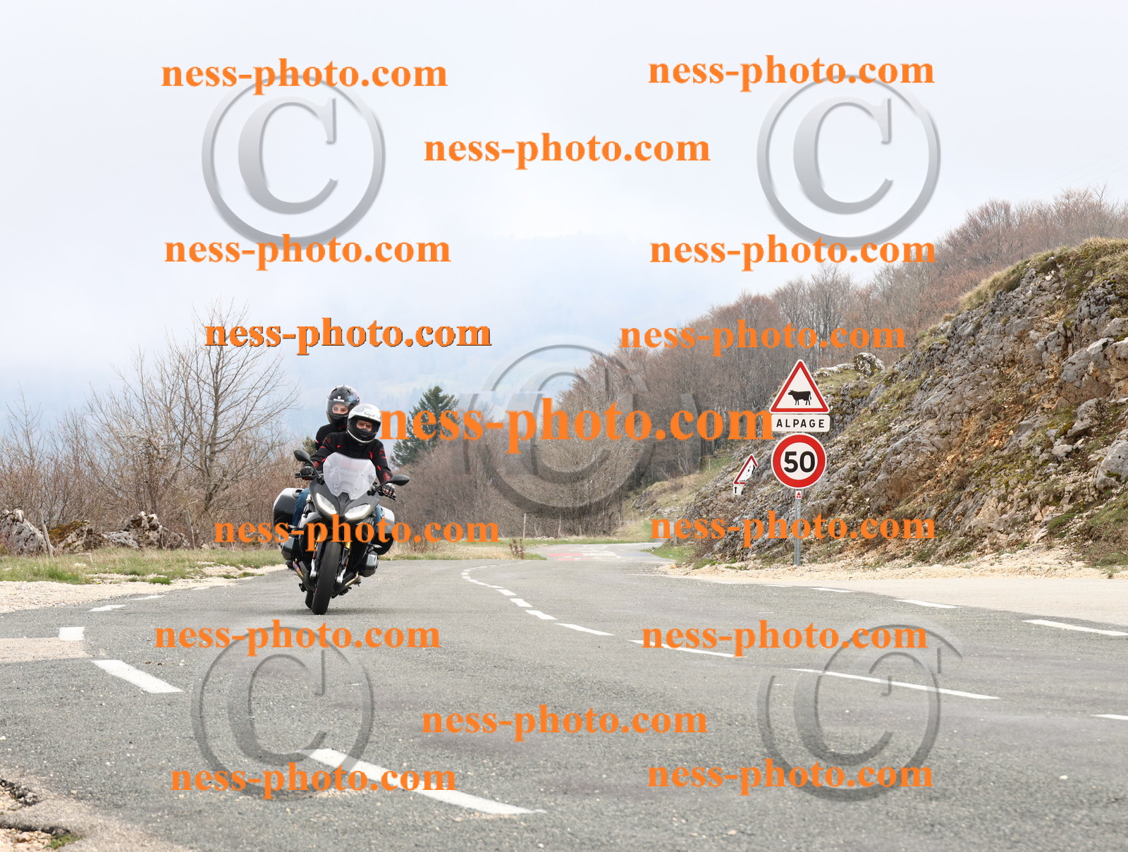 Col du Grand Colombier (40).JPG