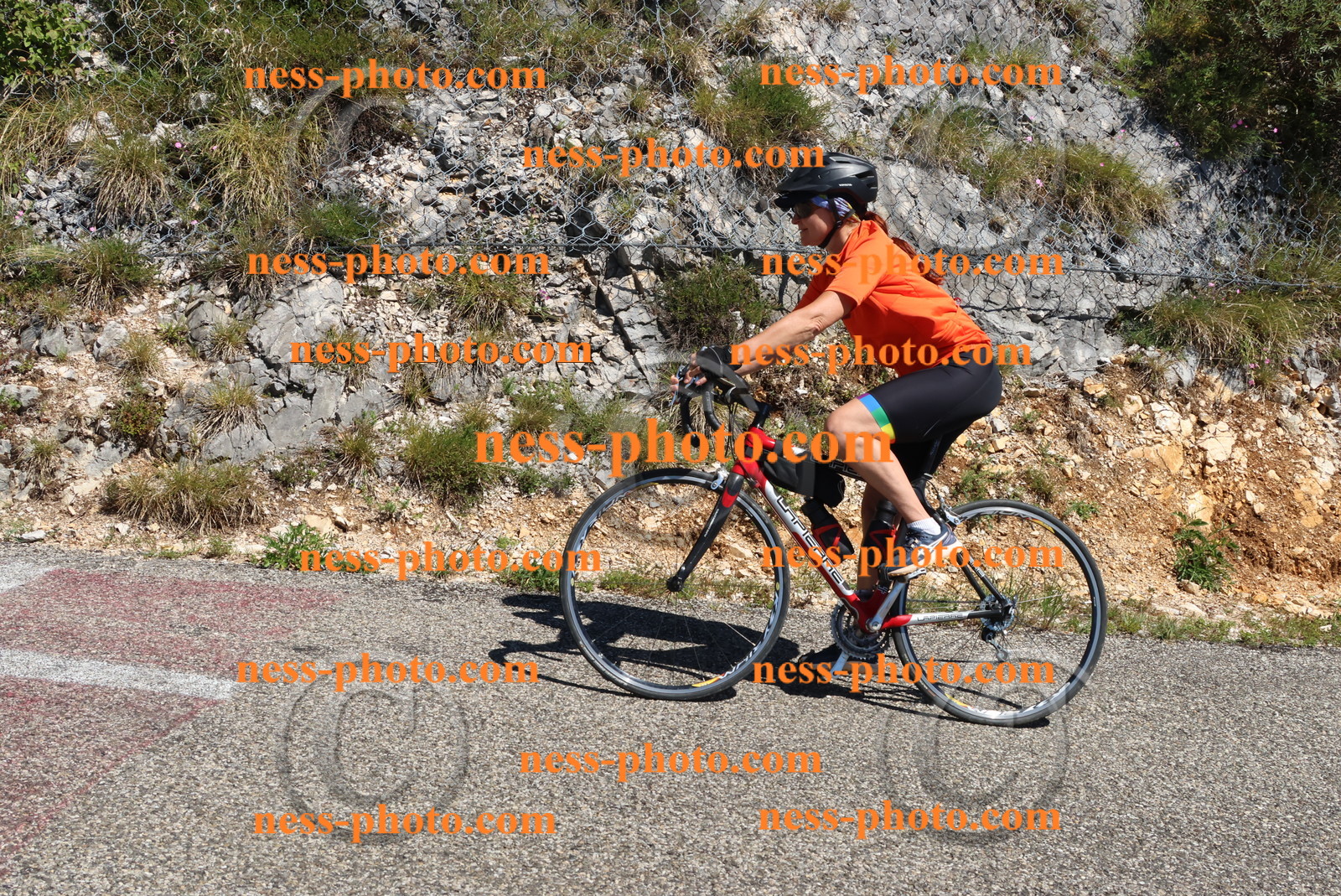 Col du Grand Colombier (618).JPG