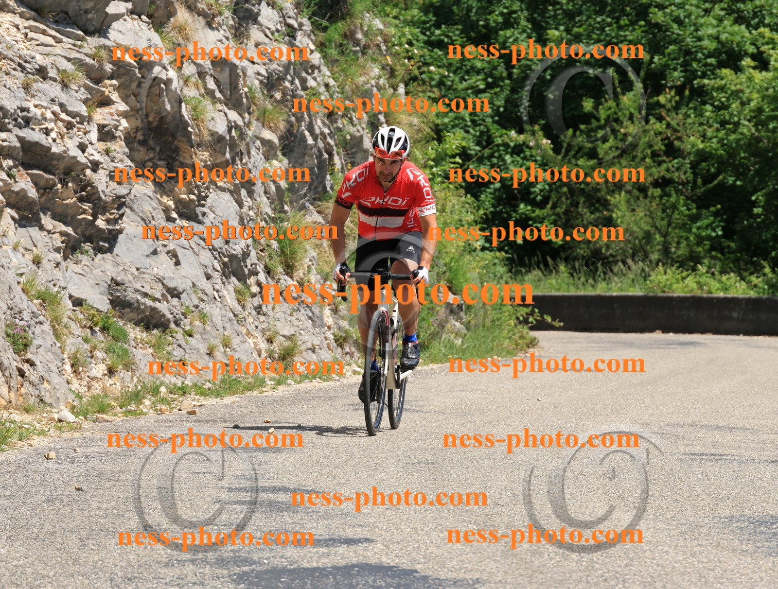 Col du Grand Colombier (629).JPG