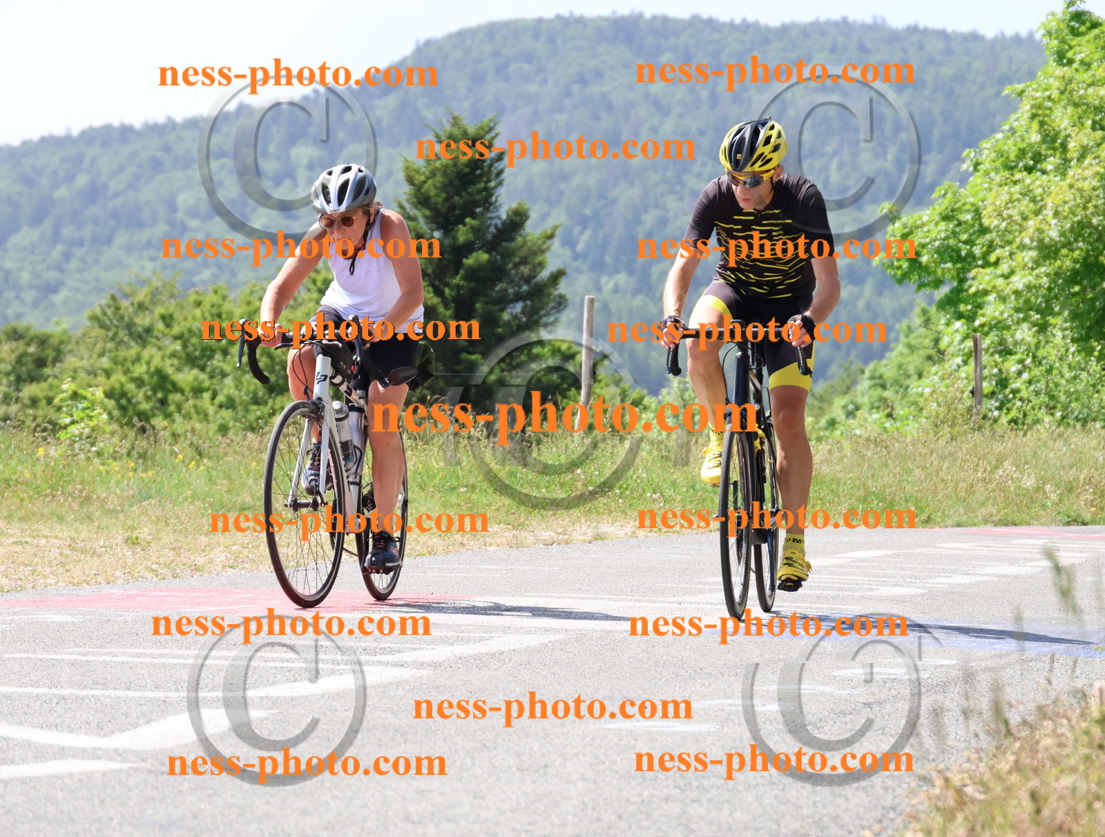 Col du grand Colombier (1465).JPG