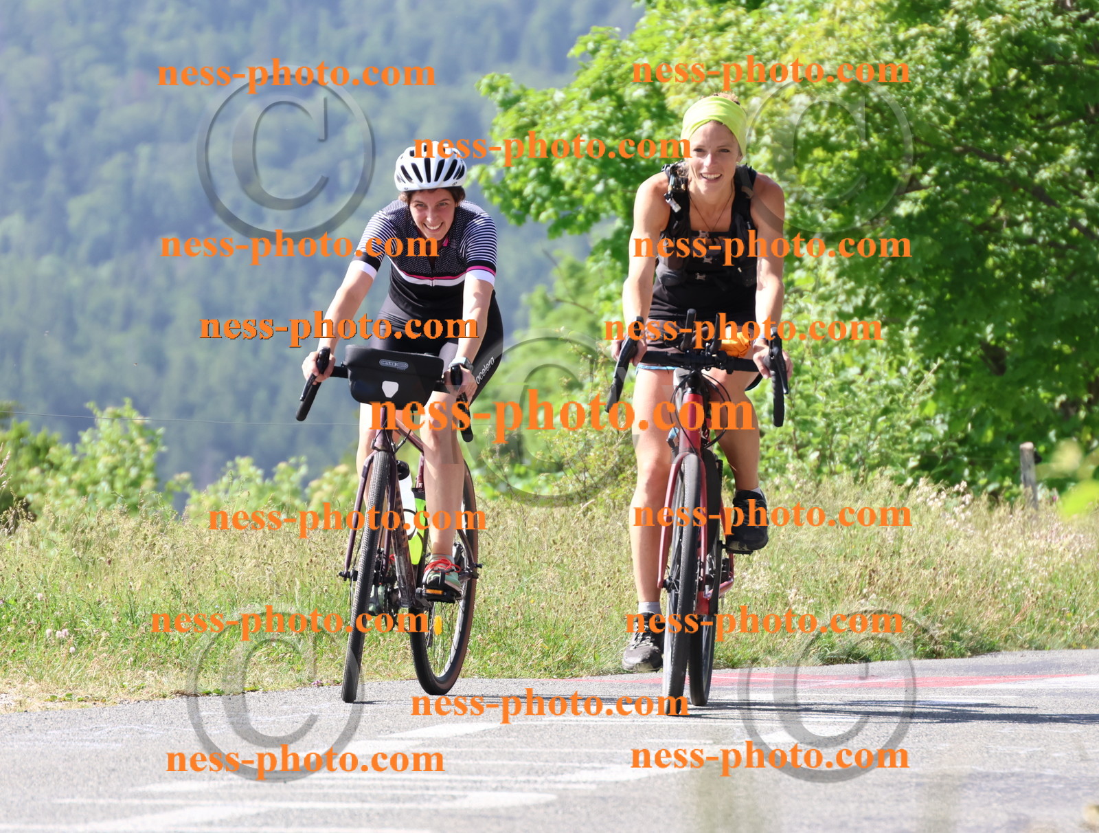 Col du grand Colombier (467).JPG